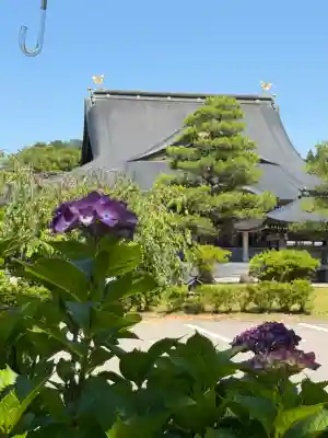 倶利迦羅不動寺鳳凰殿(石川県)