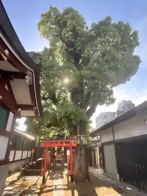 上の天神 生根神社(大阪府)