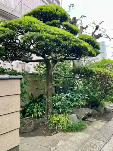 清徳寺(東京都)