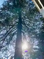 岡見八坂神社(茨城県)