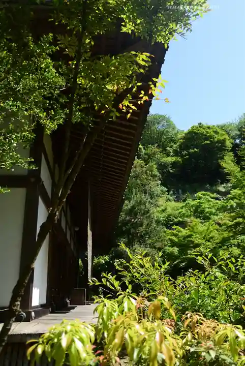 如意庵(神奈川県)