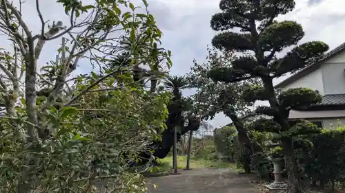 千燈院の庭園