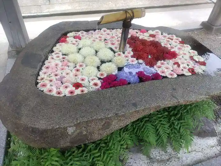 荘内神社(山形県)