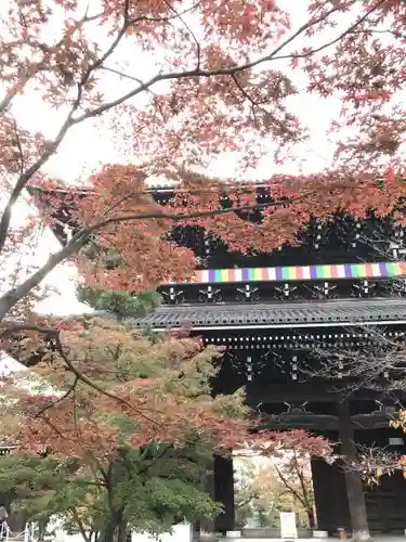 くろ谷 金戒光明寺の山門・神門