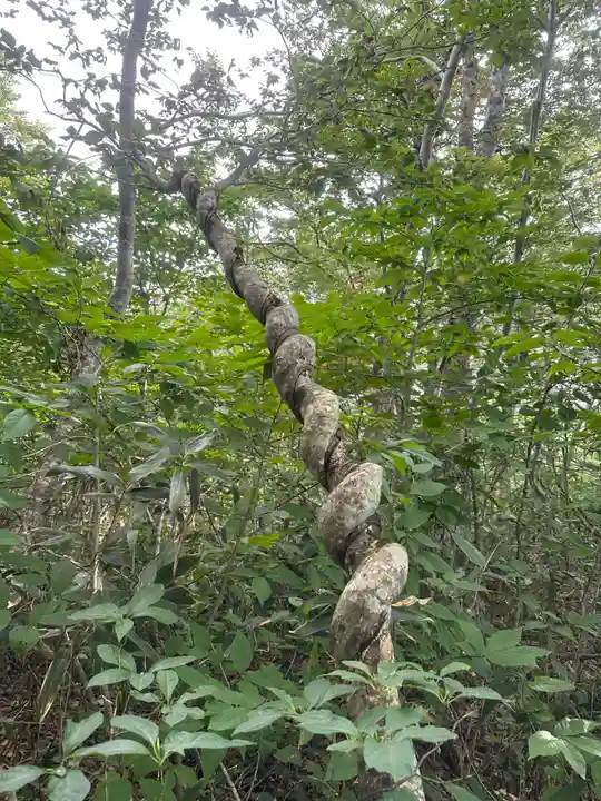 駒形神社奥宮(岩手県)