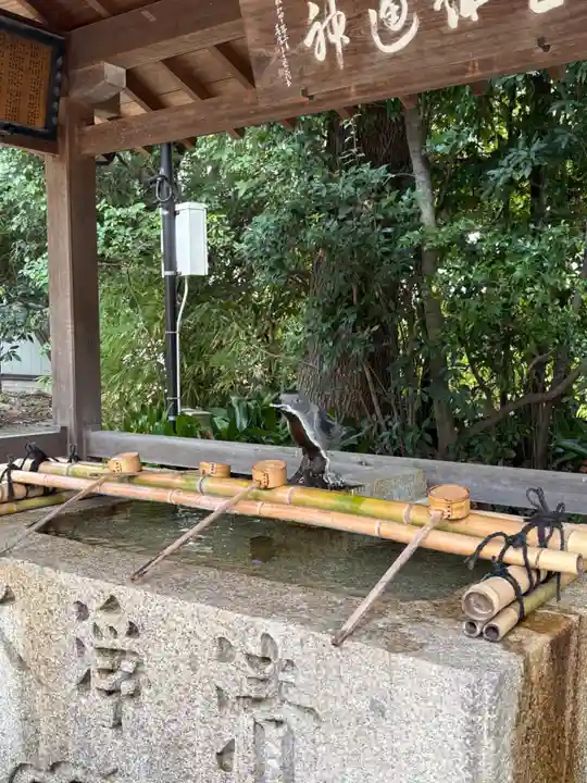 弓弦羽神社(兵庫県)