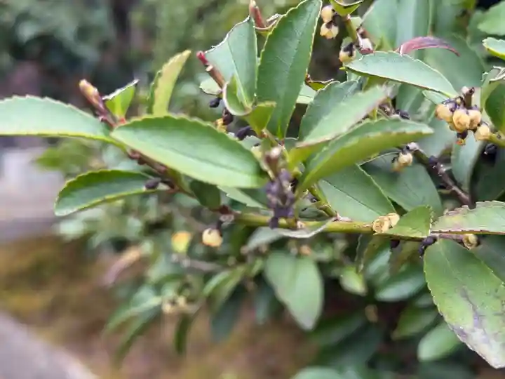 西方山極楽寺(岐阜県)