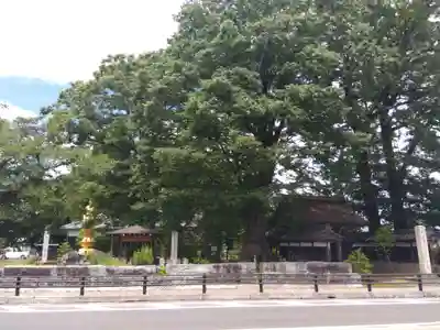 金剛院(福井県)