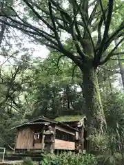 生達神社の自然