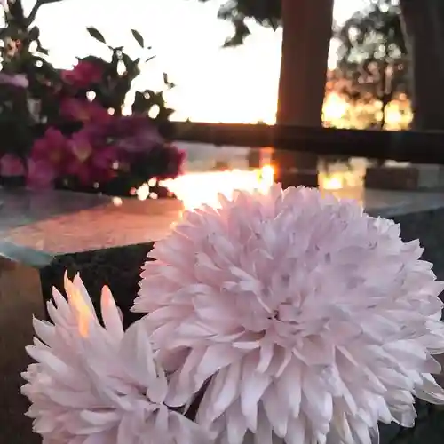 高司神社〜むすびの神の鎮まる社〜の手水舎