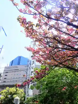 圓珠寺(東京都)