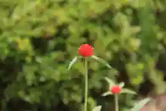 大鏑神社の庭園