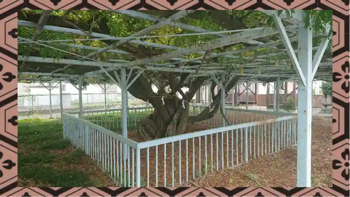 菖蒲神社(埼玉県)