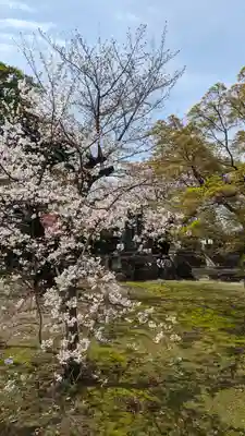 妙顯寺（妙顕寺）(京都府)