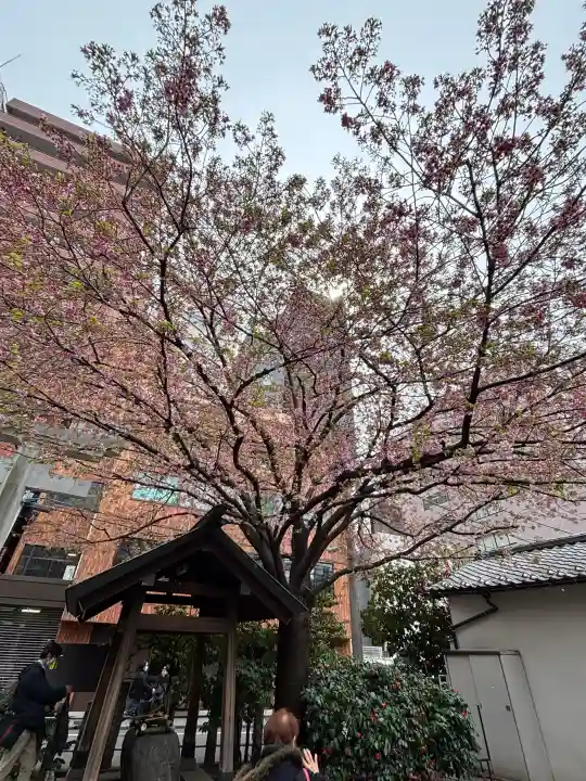 蔵前神社の{uncategorized: "未分類", other: "その他", undefined: "問題あり", building: "その他建物", grave: "お墓", sacred_gate: "鳥居", guardian: "狛犬", statue: "像", buddha: "仏像", history: "歴史", nature: "自然", garden: "庭園", animal: "動物", pagoda: "塔", temizu: "手水舎", mountain_gate: "山門・神門", sanctuary: "本殿・本堂", subordinate: "末社・摂社", art: "芸術", scenery: "景色", jizo: "地蔵", ema: "絵馬", goshuin: "御朱印", omikuji: "おみくじ", items: "授与品その他", amulet: "お守り", goshuincho: "御朱印帳", eats: "食事", festival: "お祭り", votive_dance: "神楽", shichigosan: "七五三参", wedding: "結婚式", experience: "体験その他", initially: "初詣", around: "周辺", anti_infection: "感染症対策"}