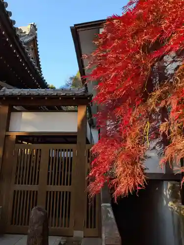 成願寺(東京都)