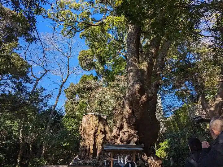 來宮神社(静岡県)