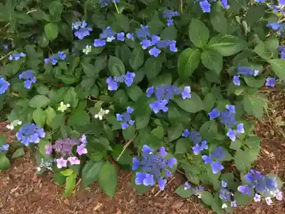 砂川神社の自然