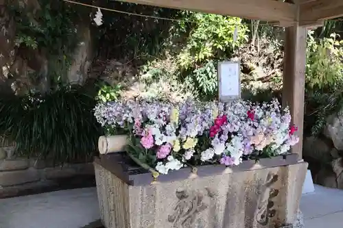 鵜戸神宮(宮崎県)