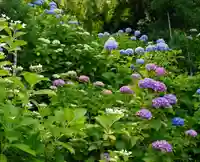 善峯寺(京都府)