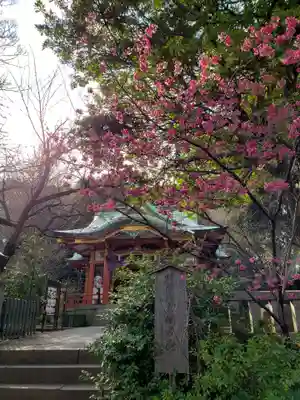 芝東照宮の本殿・本堂
