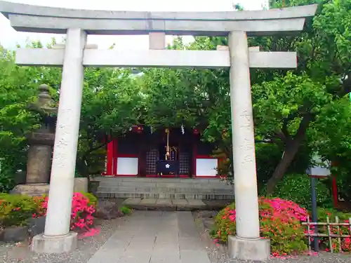 亀戸天神社の鳥居