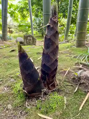 最勝寺(茨城県)