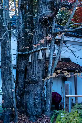 梨木神社(京都府)