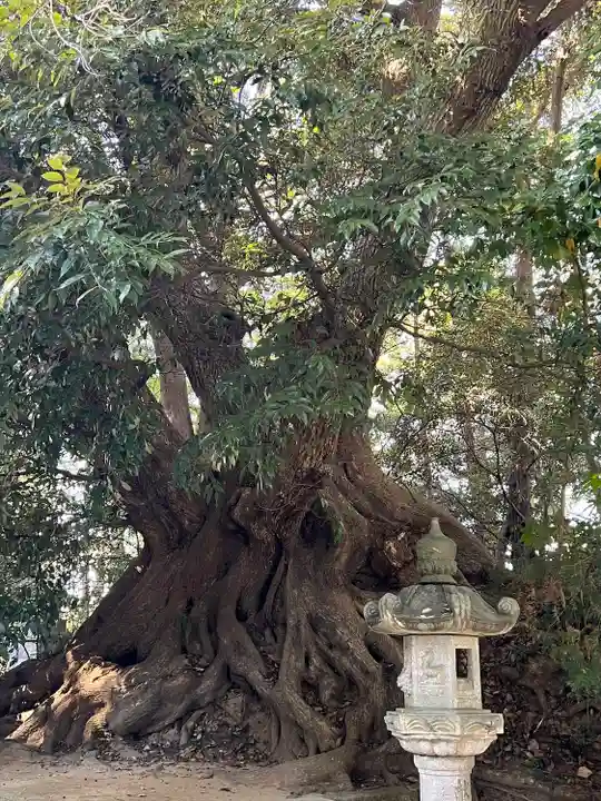 諏訪神社(千葉県)
