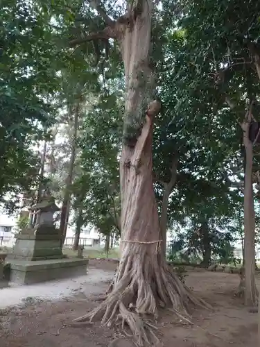 日秀将門神社の自然