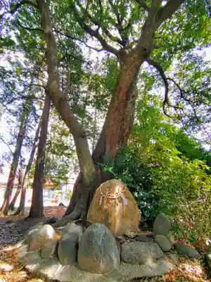 熱田社（稲荷町）の自然