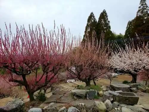 普光寺の庭園