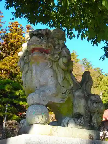 鳩ヶ嶺八幡宮の狛犬