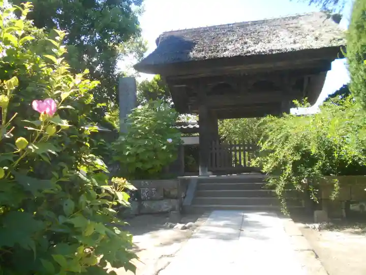 極楽寺(霊鷲山感應院極楽律寺)の山門・神門