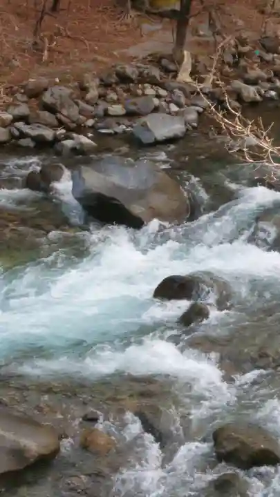 日光二荒山神社の周辺