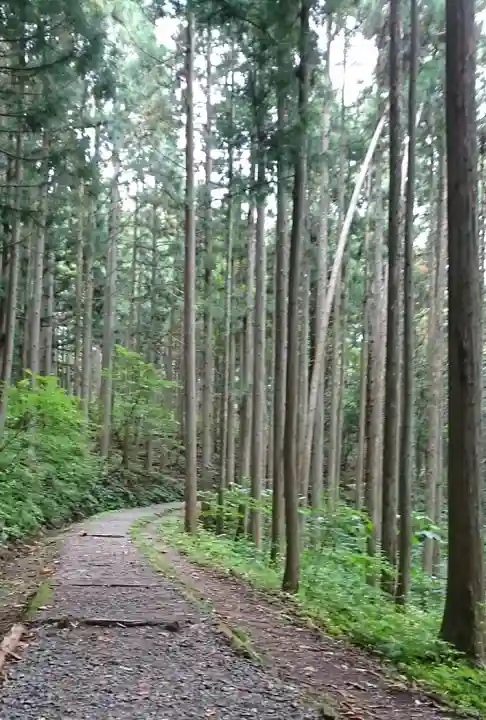 戸隠神社火之御子社の自然