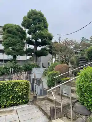 妙圓寺(妙円寺)(東京都)