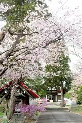 江部乙神社(北海道)
