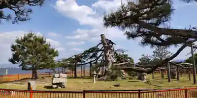 唐崎神社(滋賀県)