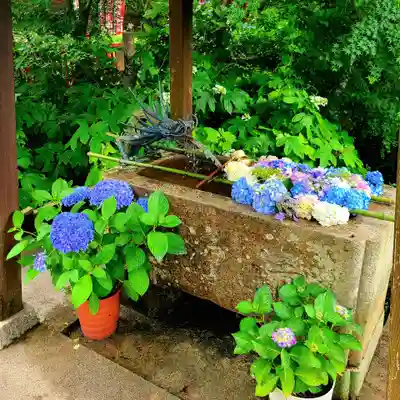 普門寺(切り絵御朱印発祥の寺)(愛知県)