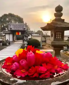 真言宗 善通寺派 薬王寺(香川県)(2025年01月24日(金) 18時59分34秒投稿)