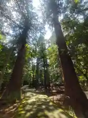 若狭彦神社（上社）(福井県)