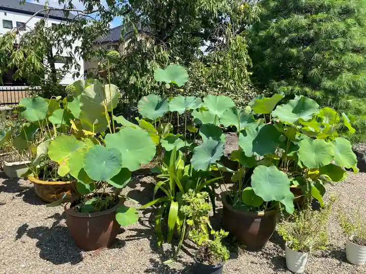 延命寺(東京都)