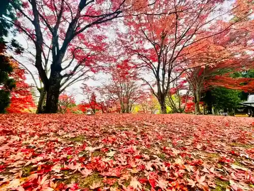 土津神社｜こどもと出世の神さまの自然