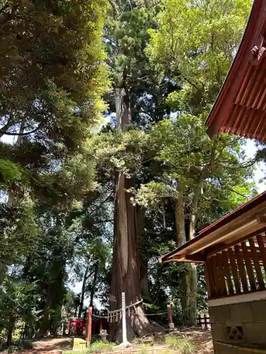 麻賀多神社奥宮(千葉県)