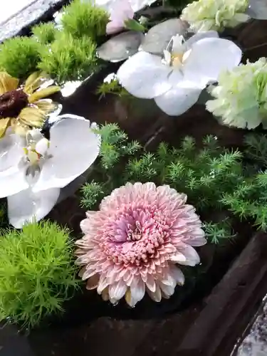 鳩森八幡神社の手水舎