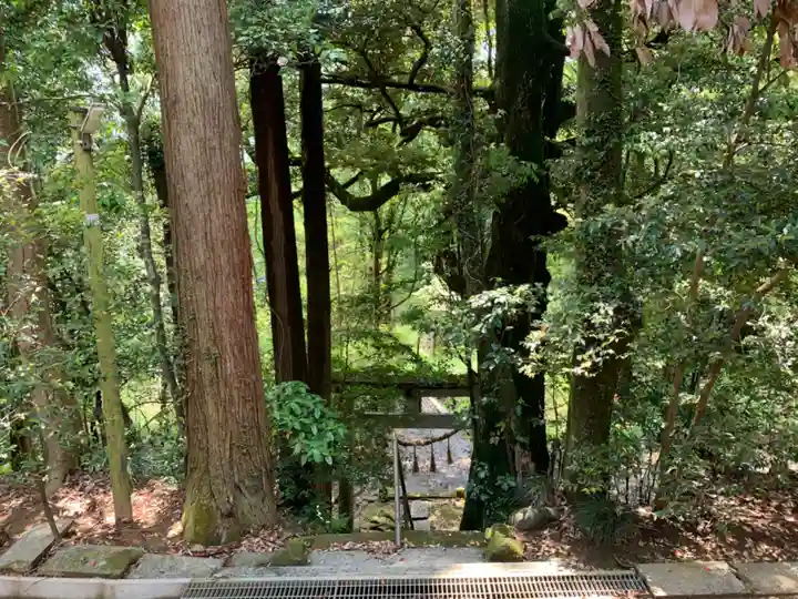 諏訪神社のその他建物