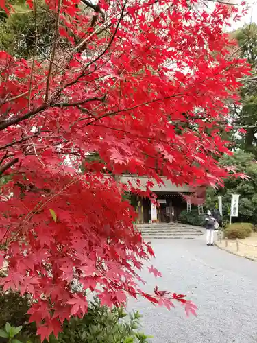 阿佐ヶ谷神明宮(東京都)