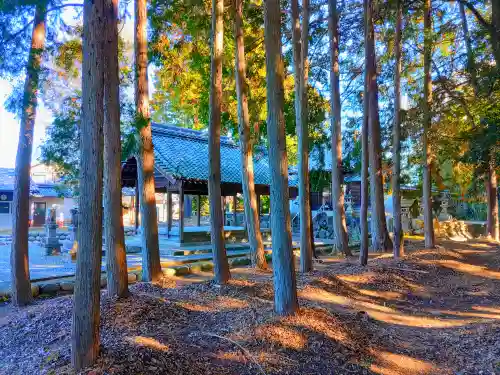 熊野社（塔野地）の自然