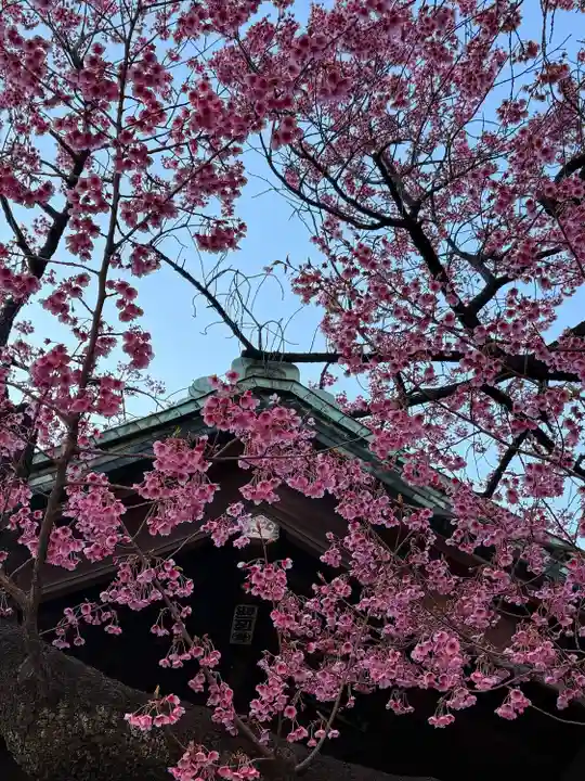 荏原神社(東京都)